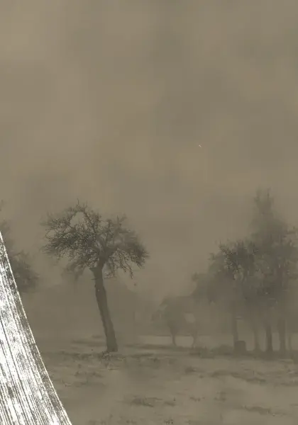 Je crois qu'après avoir vu ça, on peut mourir tranquille