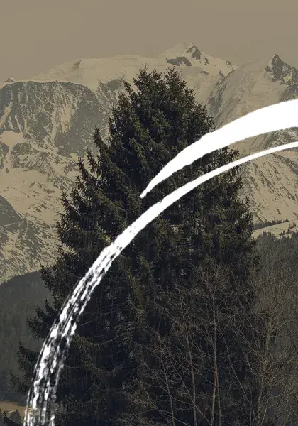 La Puce à l'oreille