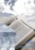 Robert Carsen