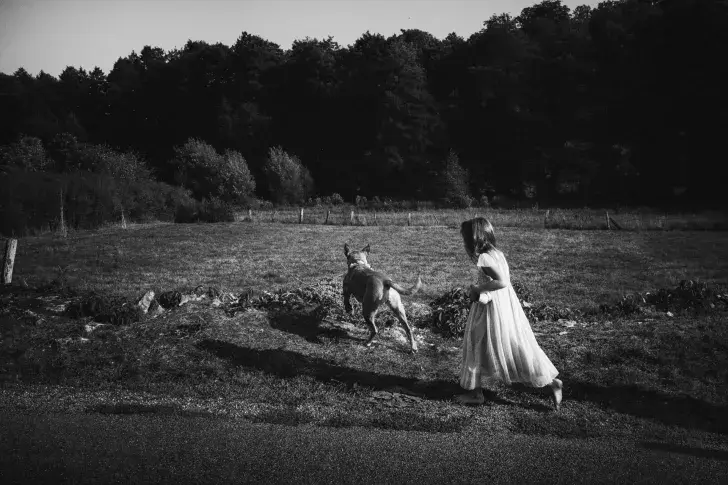 Le Chien – Les Contes du chat perché