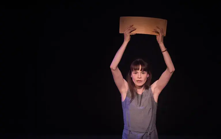 L'événement / Festival Singulis 16/17